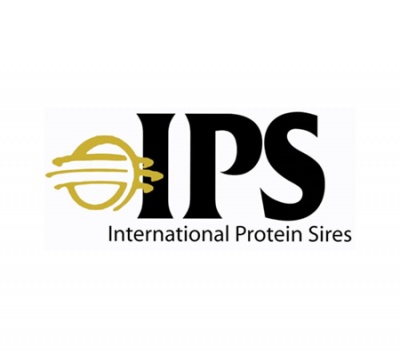 IPS